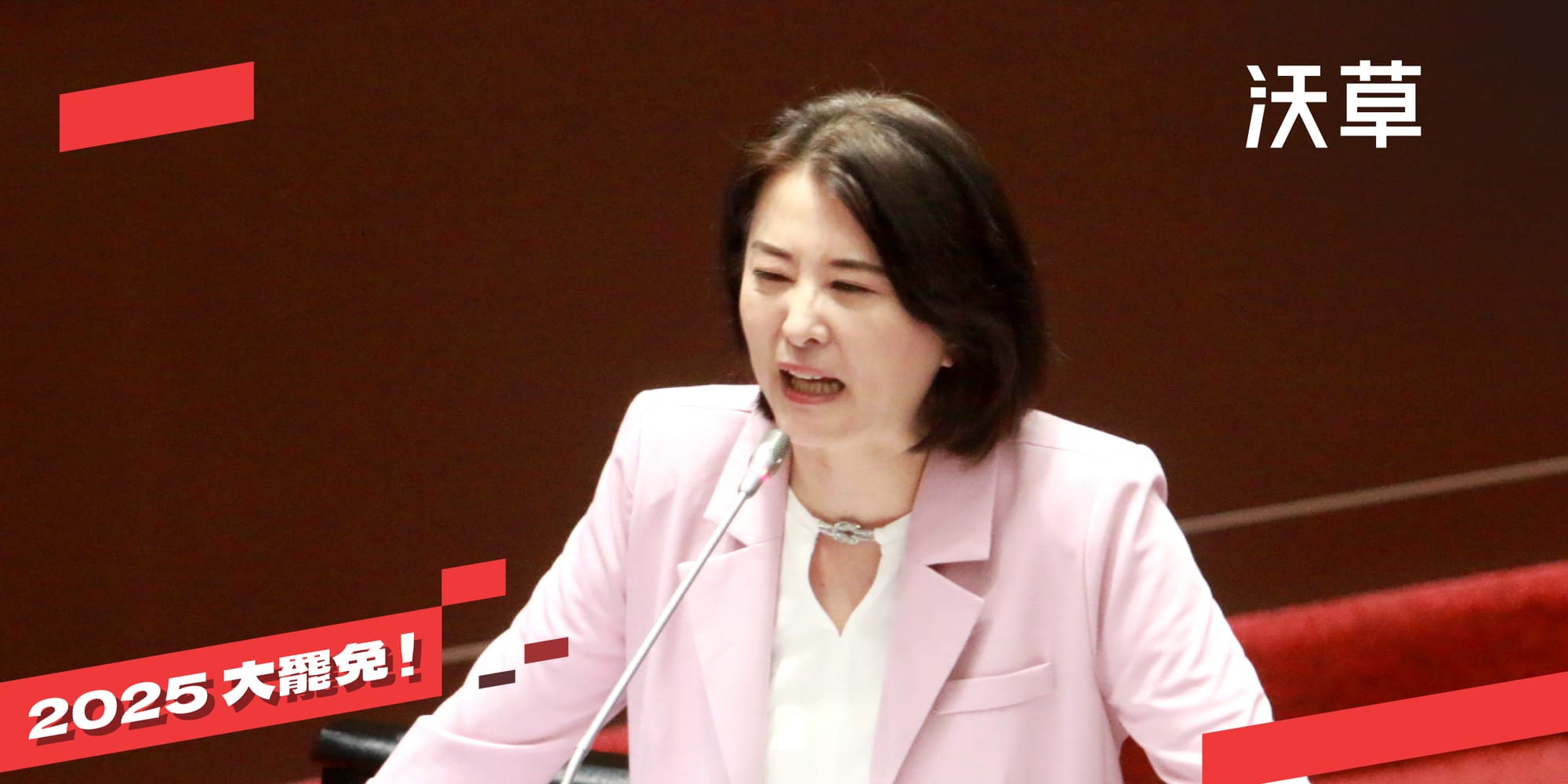 2025 大罷免》為什麼要罷免王鴻薇？'s story cover image