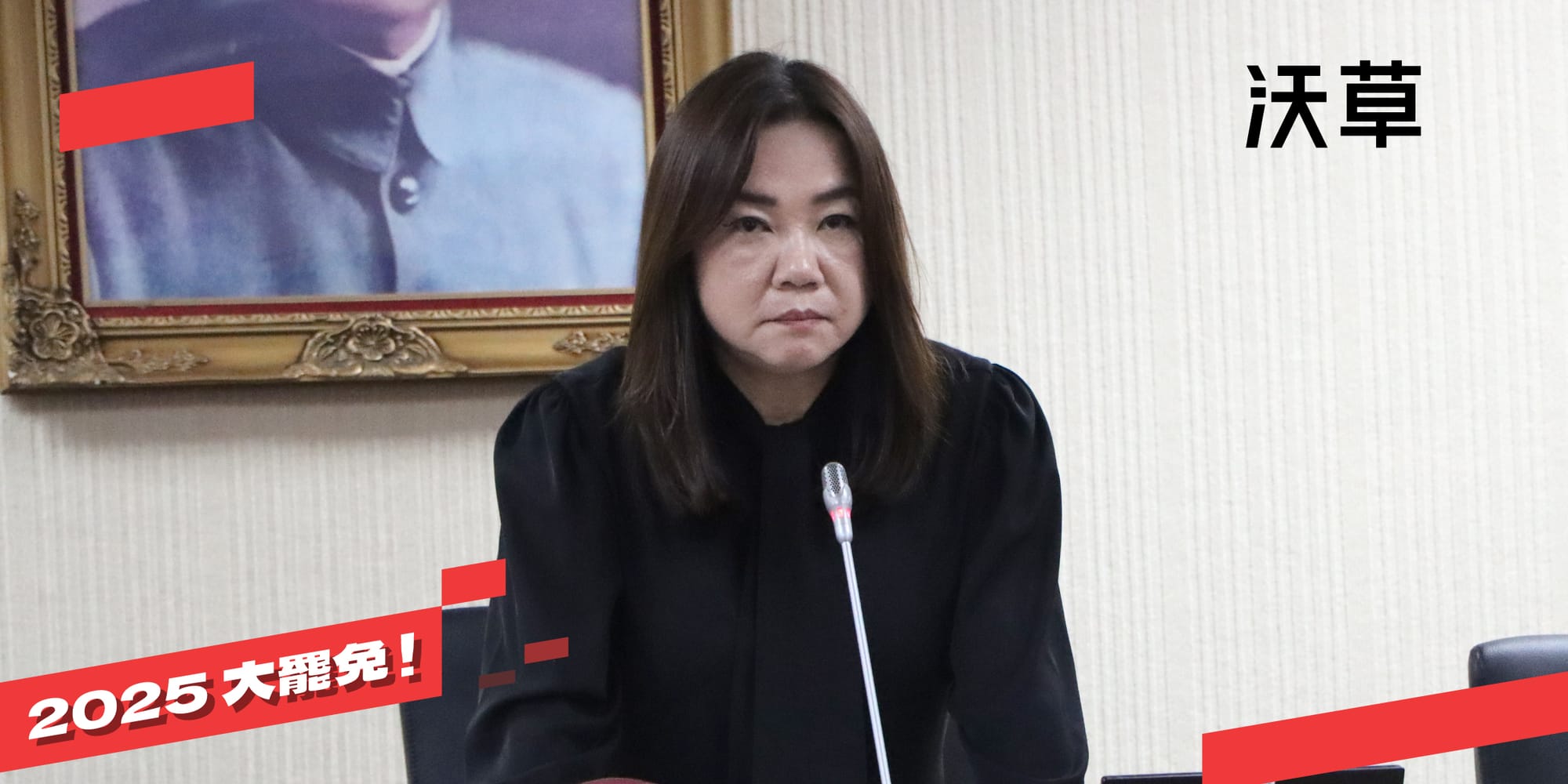 2025 大罷免》為什麼要罷免馬文君？'s story cover image