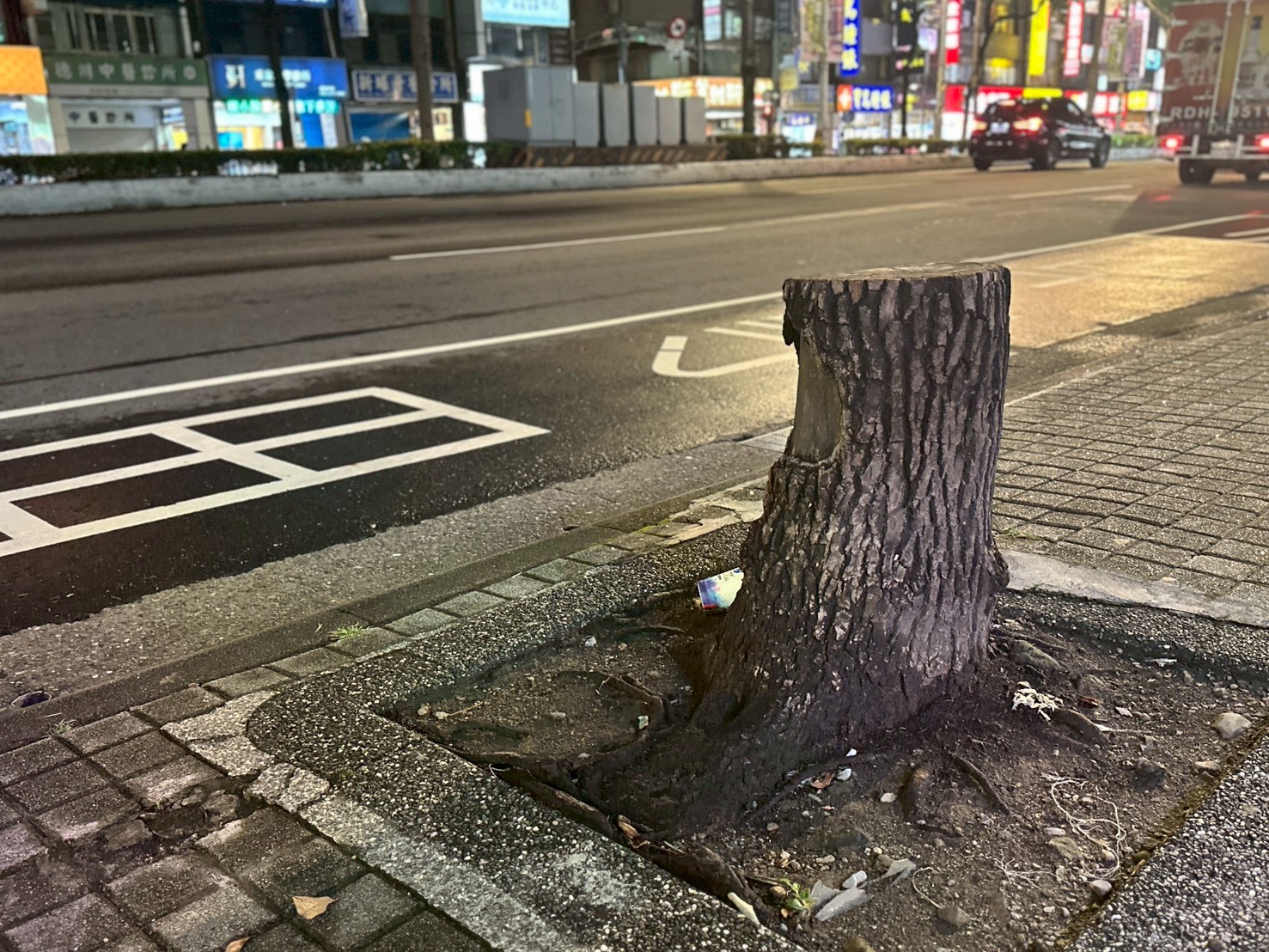 台北市「砍樹」惹議  樹木修剪規範如何落實成關鍵's story cover image