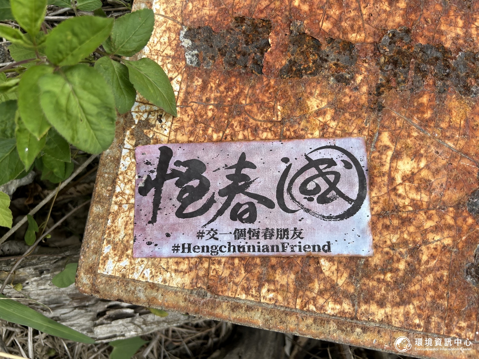 墾漂的、回鄉的、結婚的——專訪留在恆春的人們，他們為何選擇南國風景？'s story cover image