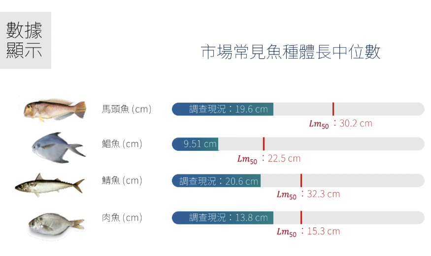 魚越抓越小 綠色和平調查：近海93%漁獲未達50%性成熟體長's story cover image