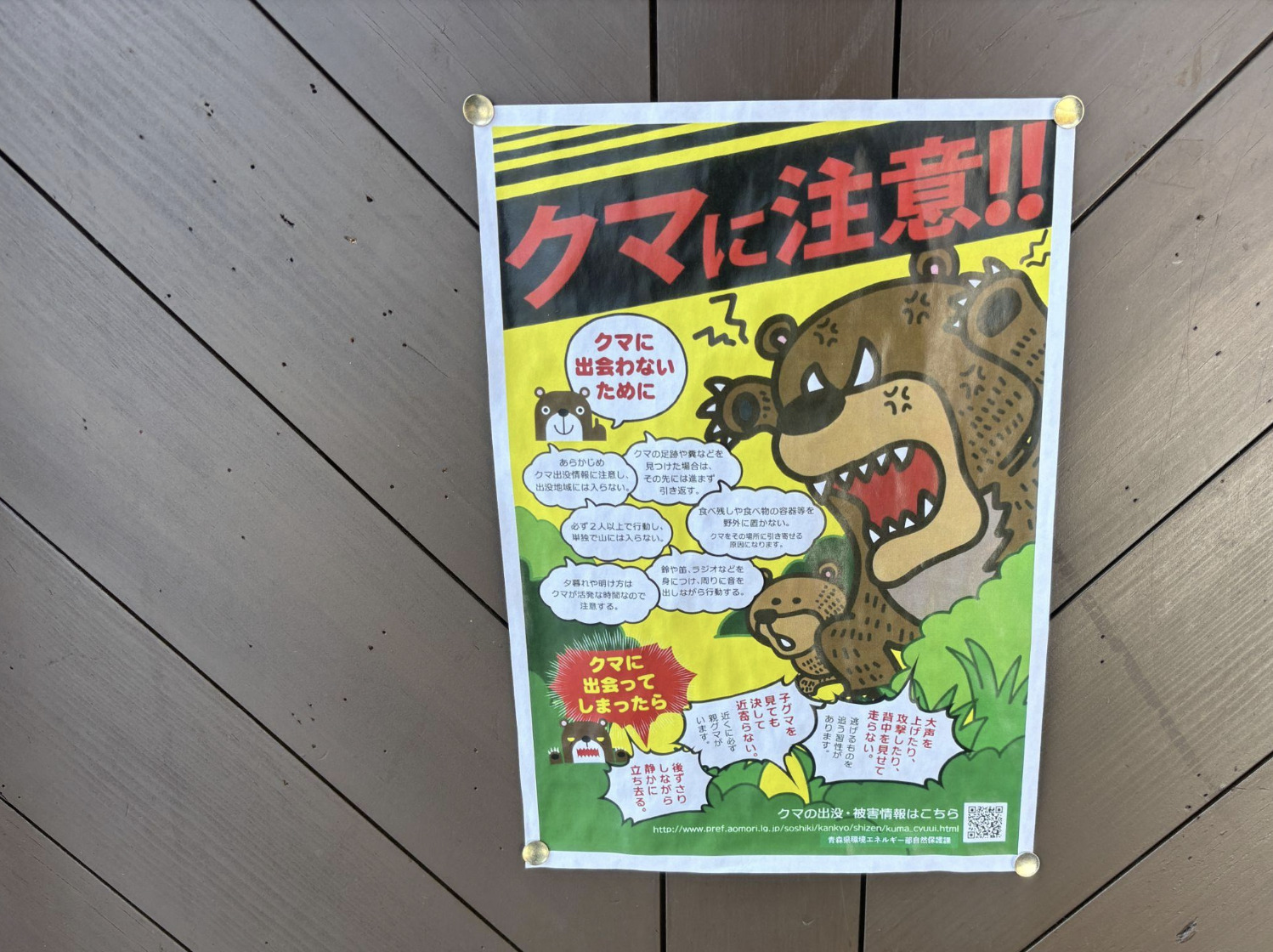 山毛櫸大豐收有望減少熊害？ 日本東北多地發布史上最早「熊出沒警報」's story cover image