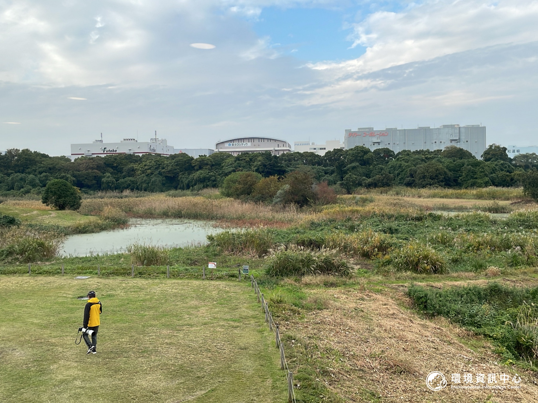 東京港野鳥公園：鄰近批發市場、物流中心的生態聖域