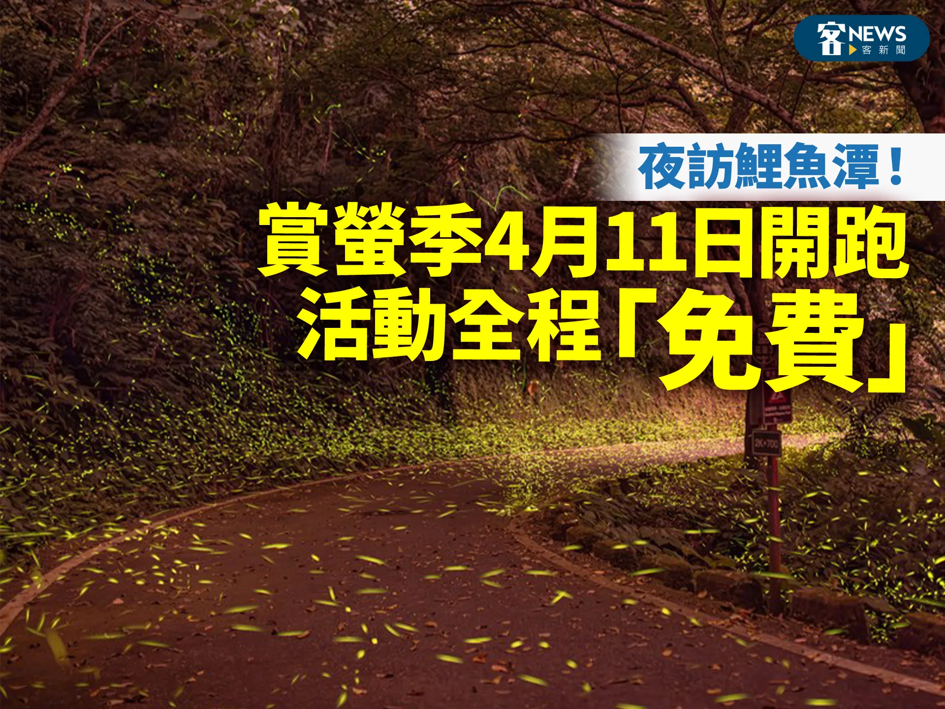 夜訪鯉魚潭！賞螢季4月11日開跑　活動全程「免費」's story cover image