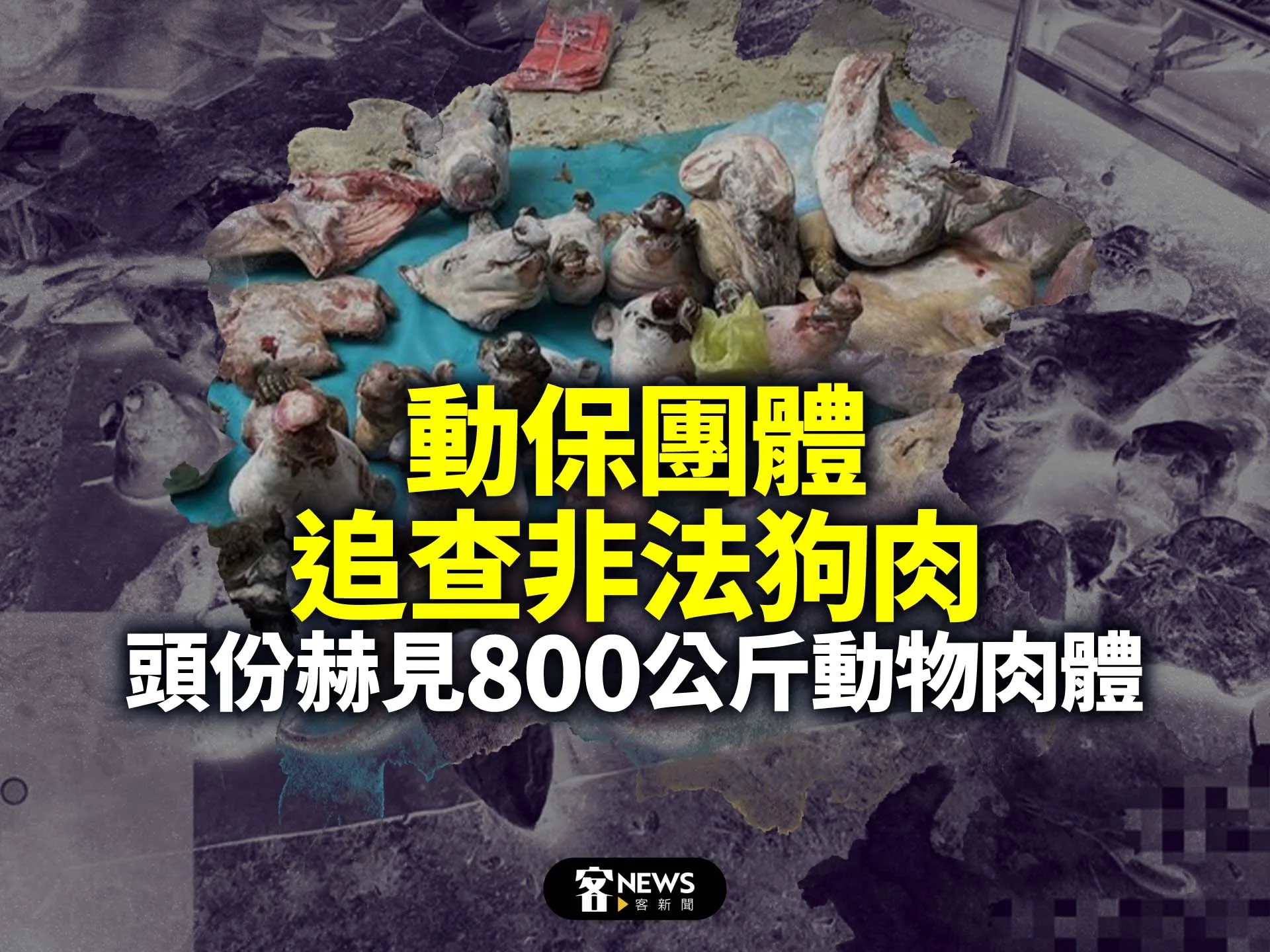 動保團體追查非法狗肉　頭份赫見800公斤動物肉體's story cover image