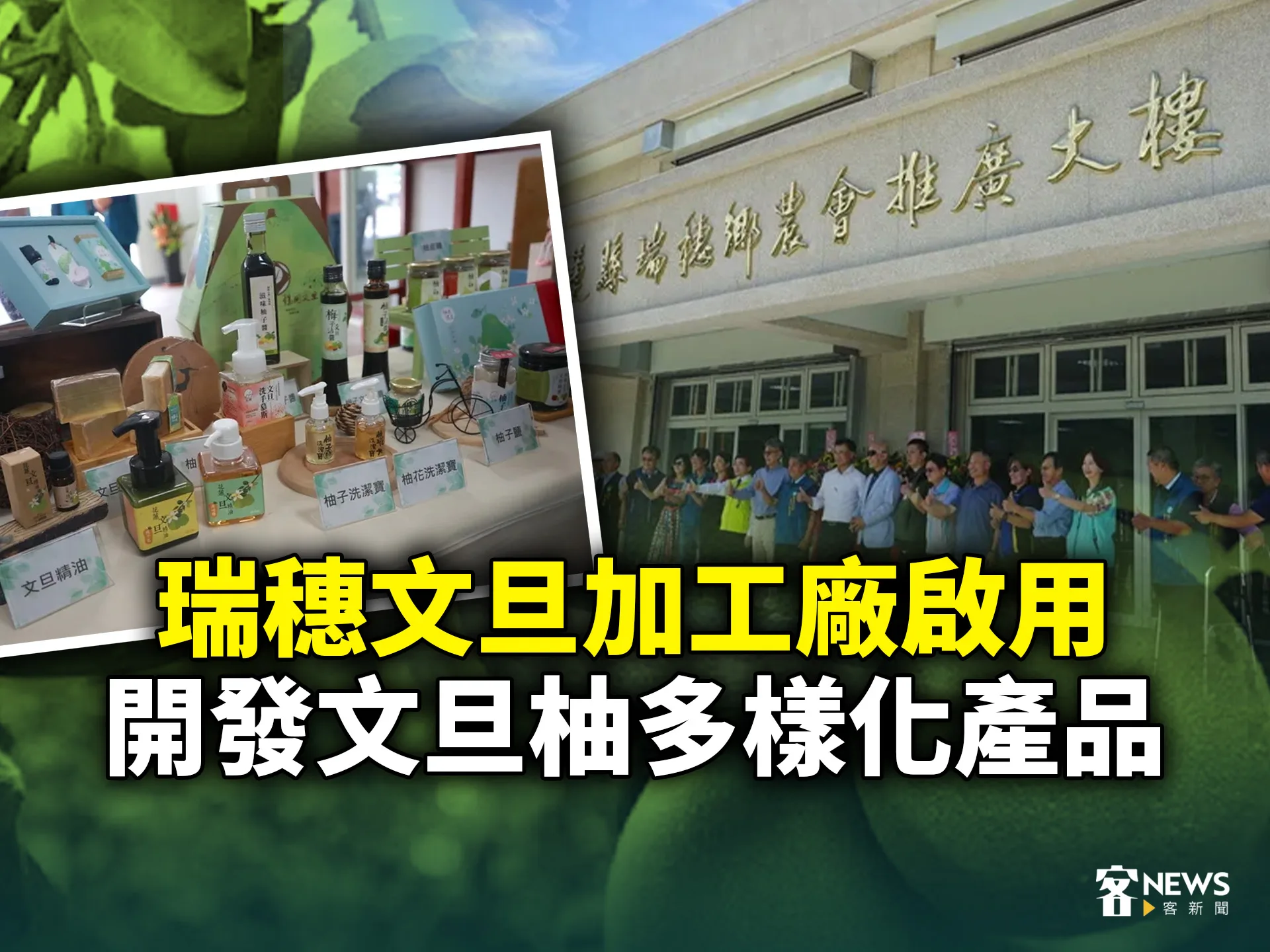 瑞穗文旦加工廠啟用　開發文旦柚多樣化產品's story cover image