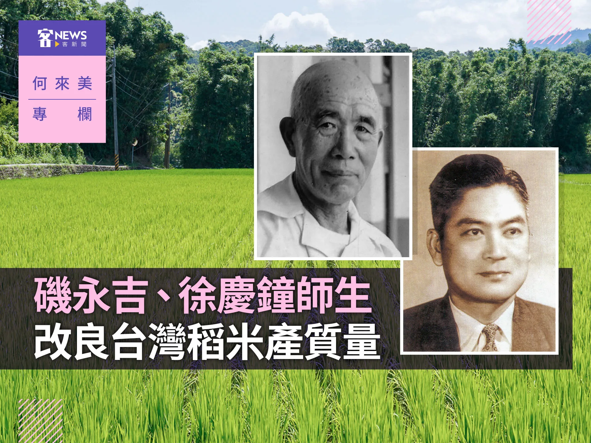 何來美專欄／磯永吉徐慶鐘師生　改良台灣稻米產質量's story cover image