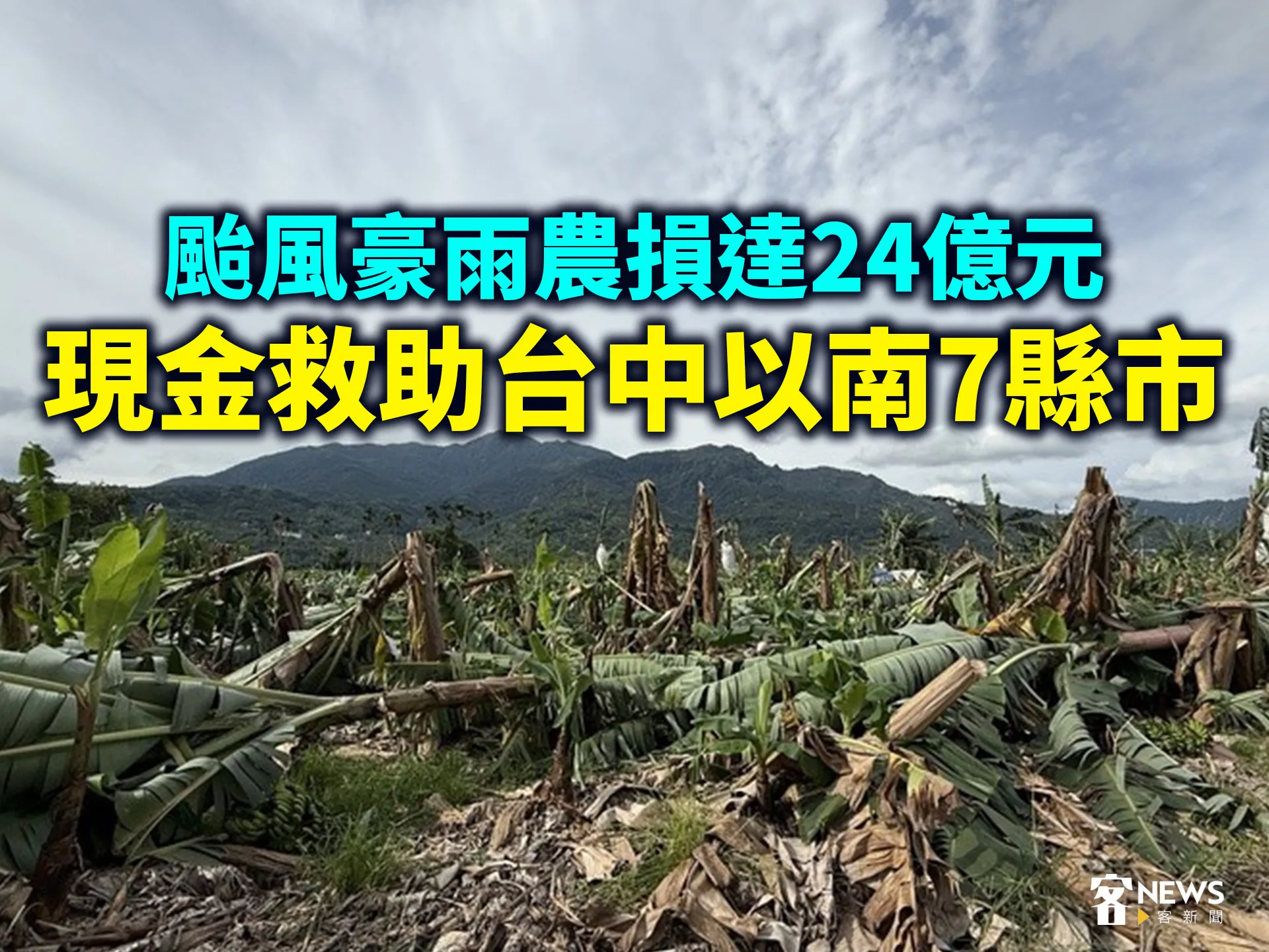 颱風豪雨農損達24億元　現金救助台中以南7縣市's story cover image
