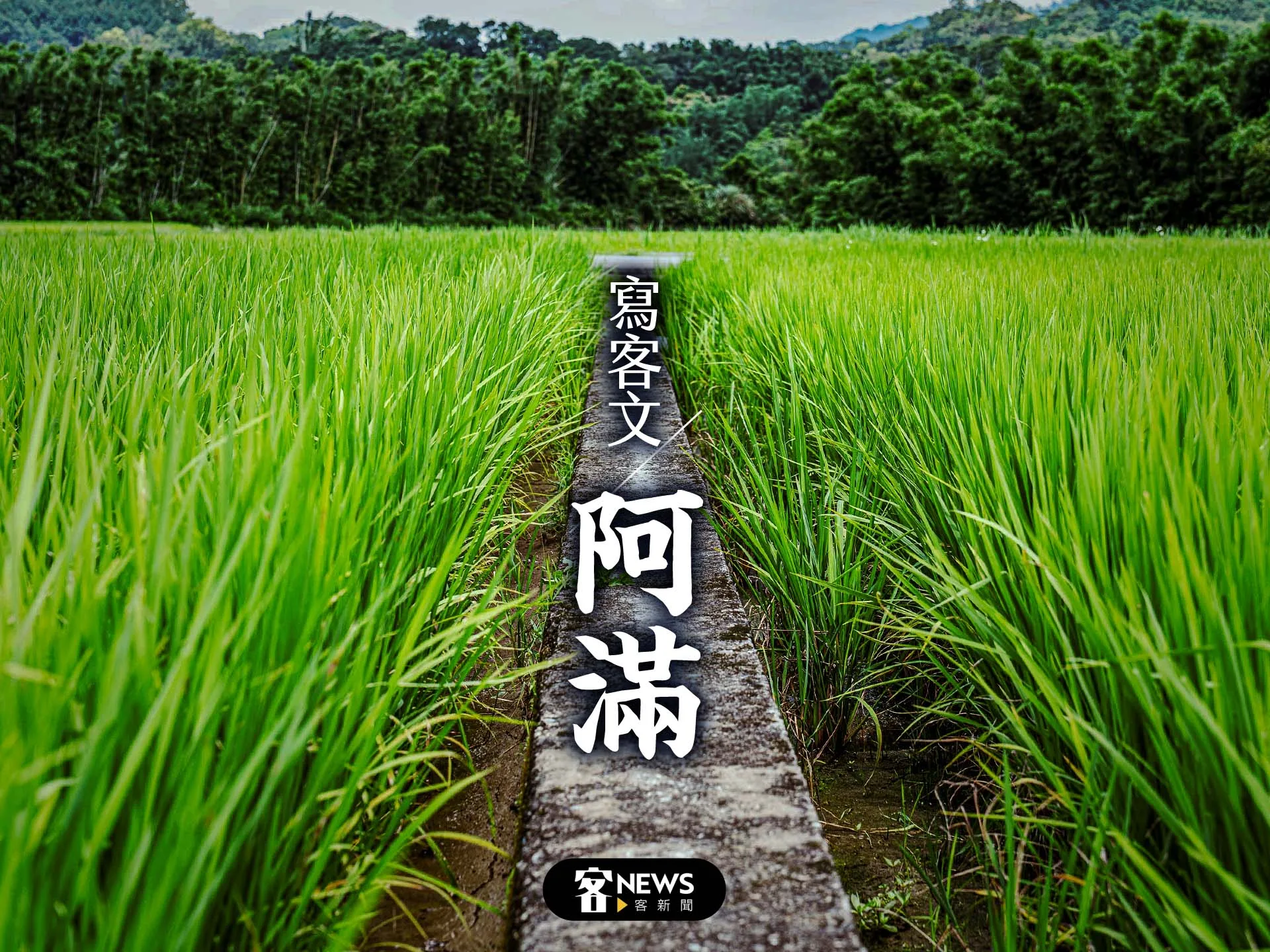 【寫客文】阿滿's story cover image