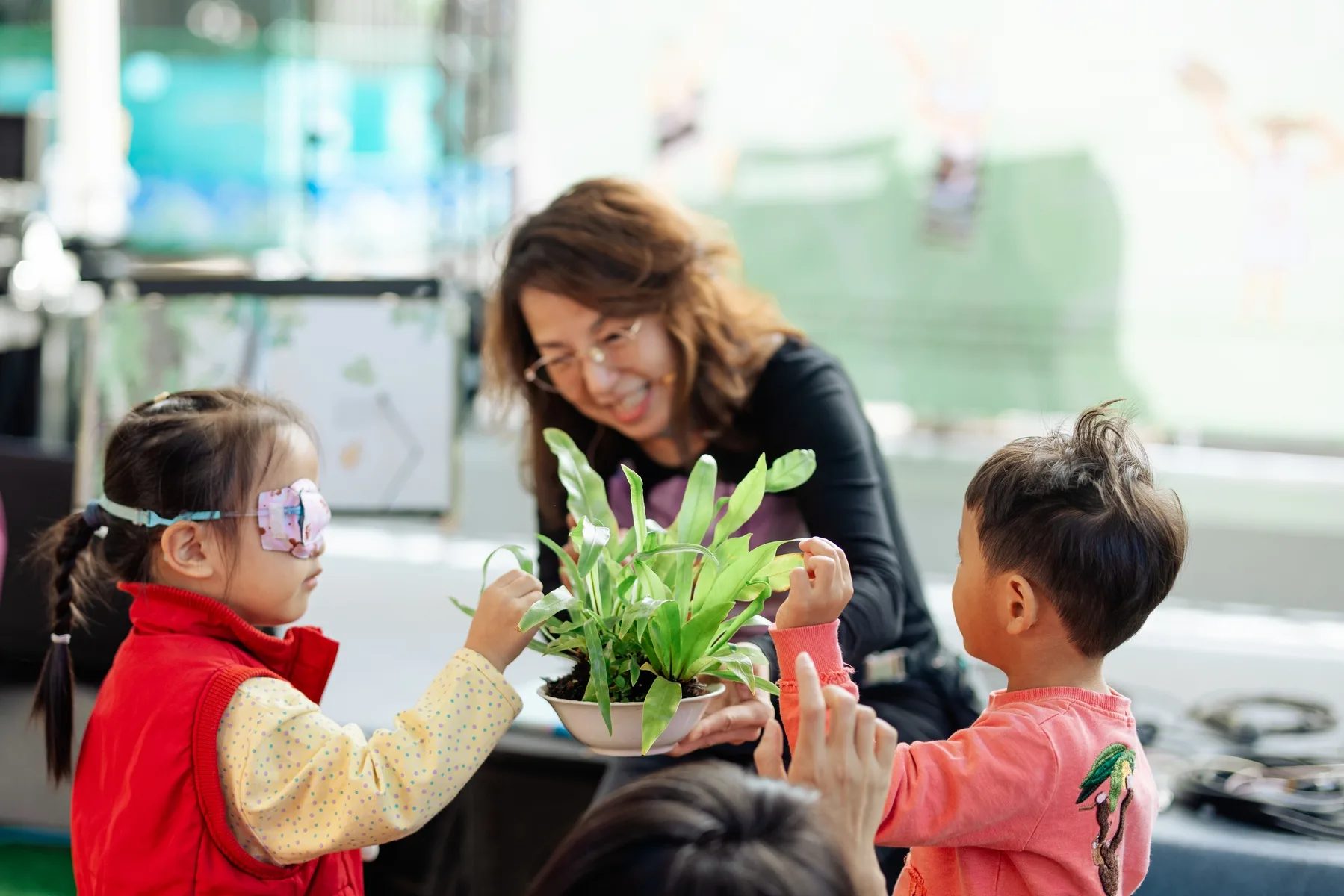 種子生活節12／6開跑　從客家到原鄉的豆類雜糧之旅's story cover image