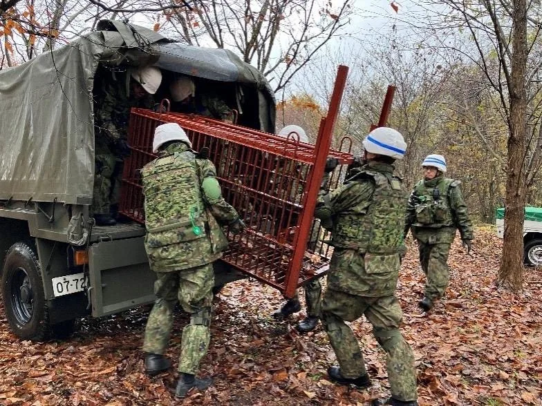日本今年熊害空前嚴重　捕殺多達9765頭創歷史新高's story cover image
