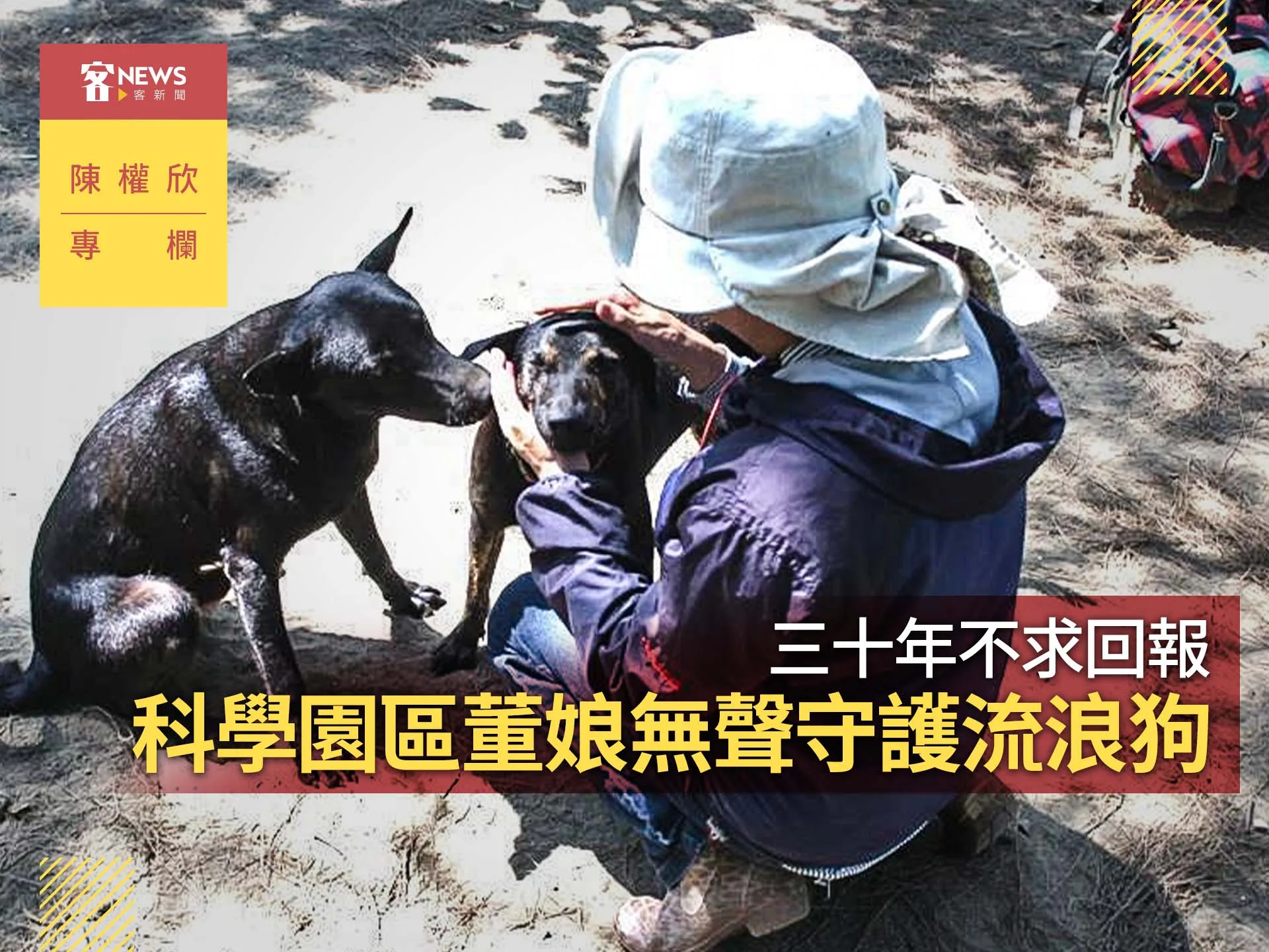 陳權欣專欄／三十年不求回報　科學園區董娘無聲守護流浪狗's story cover image