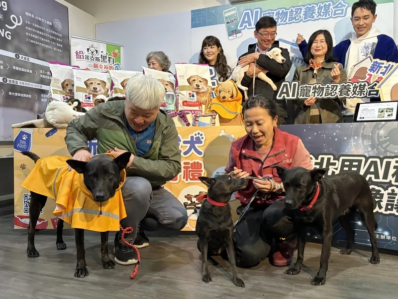 認養寵物不再只靠感覺　新北推AI媒合提高成功率's story cover image