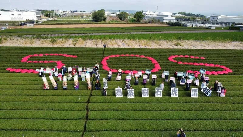 南投名間擬蓋垃圾焚化爐　居民為石虎、茶園請命's story cover image