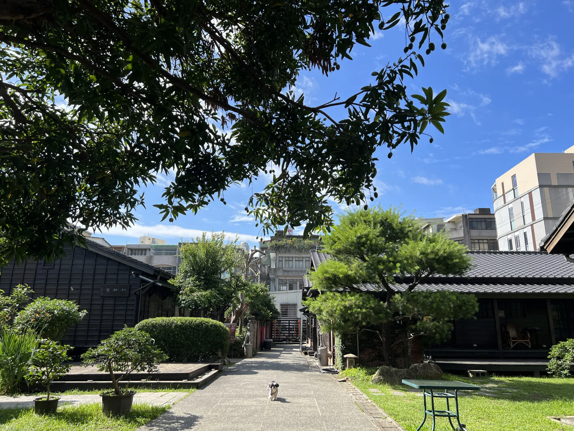 收集百大文化基地風景 「Chill遊竹縣」10日起開放報名's story cover image