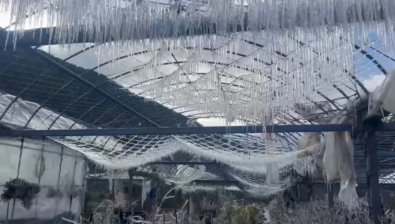 輻射冷卻效應　北部地區10日低溫下探6度's story cover image