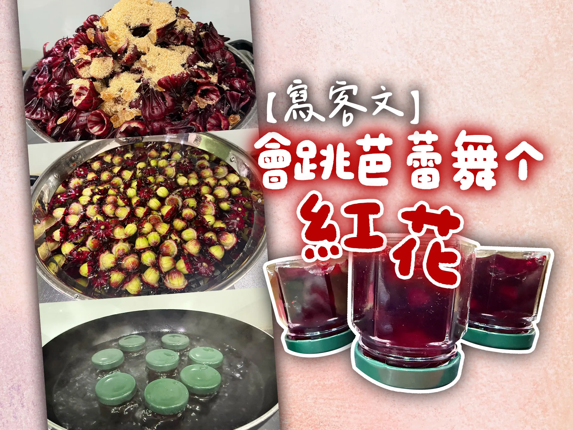 【寫客文】會跳芭蕾舞个紅花's story cover image