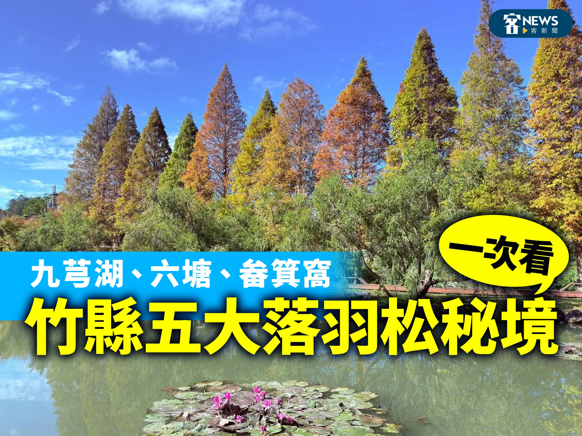 九芎湖、六塘、畚箕窩溪　竹縣五大落羽松秘境一次看's story cover image