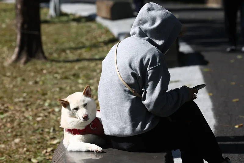 新竹關西今天日夜溫差達20度　桃竹苗15日續防低溫's story cover image