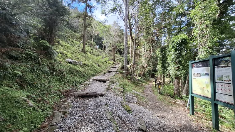 玉山國家公園瓦拉米步道尋寶　沉浸人文歷史田園風光's story cover image