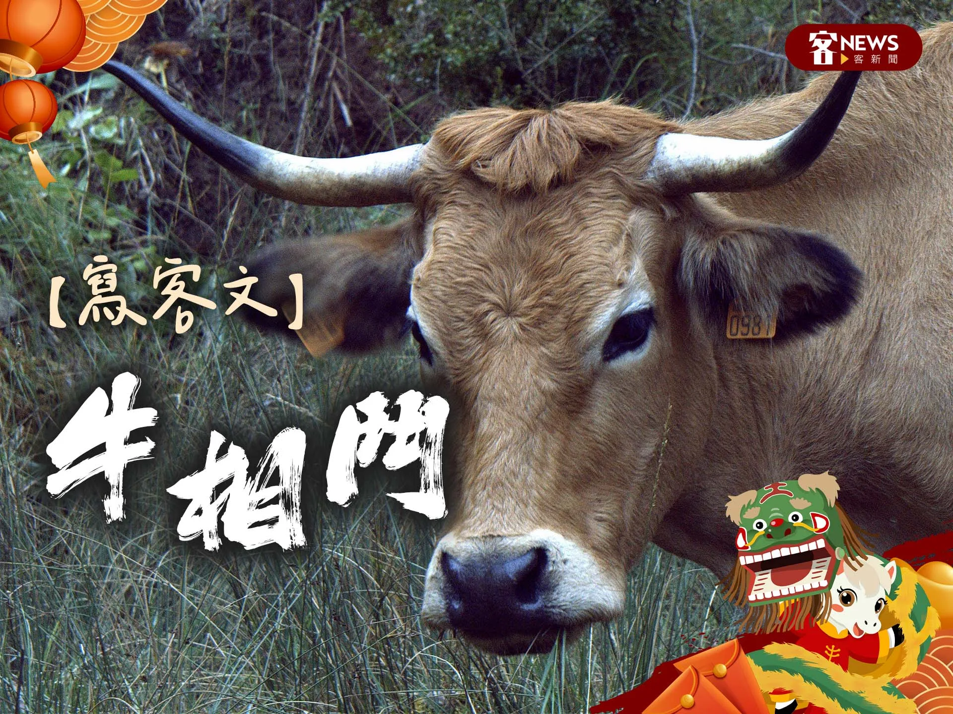 【寫客文】牛相鬥's story cover image