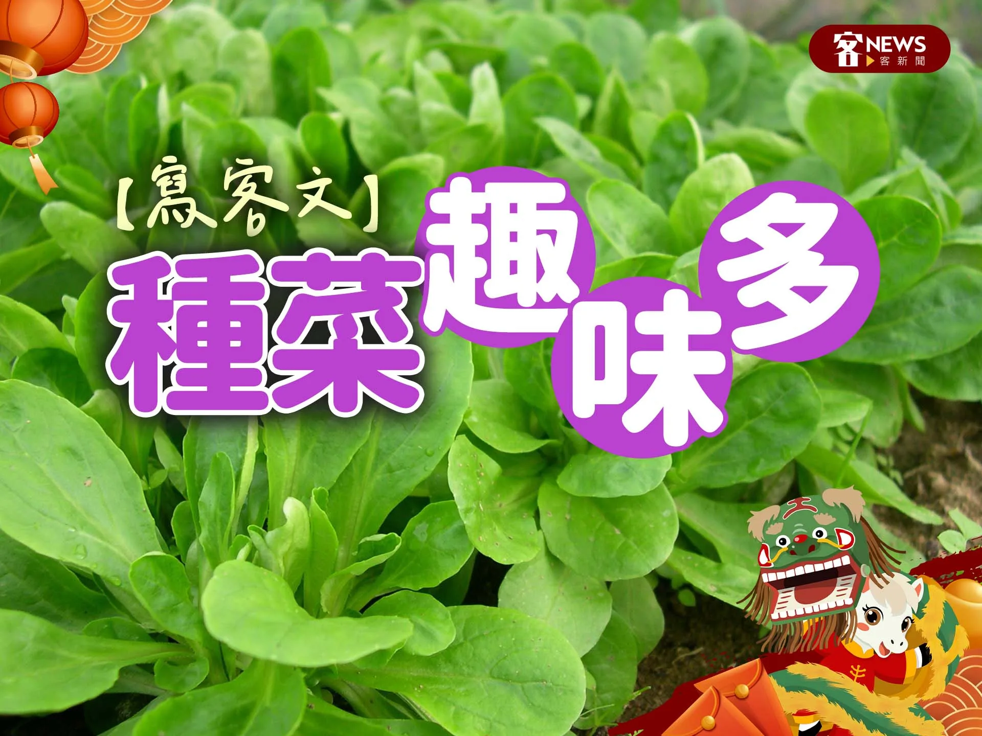 【寫客文】種菜趣味多's story cover image