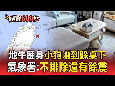 宜蘭5.6淺層地震「超有感」！ 小狗嚇到躲進桌底下  氣象署：不排除還有餘震【頭條600秒】