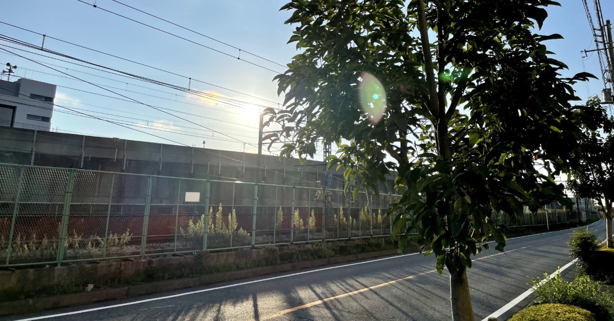 東森深度周報／曝曬中暑致死率高 95%民眾：盼放高溫假's story cover image