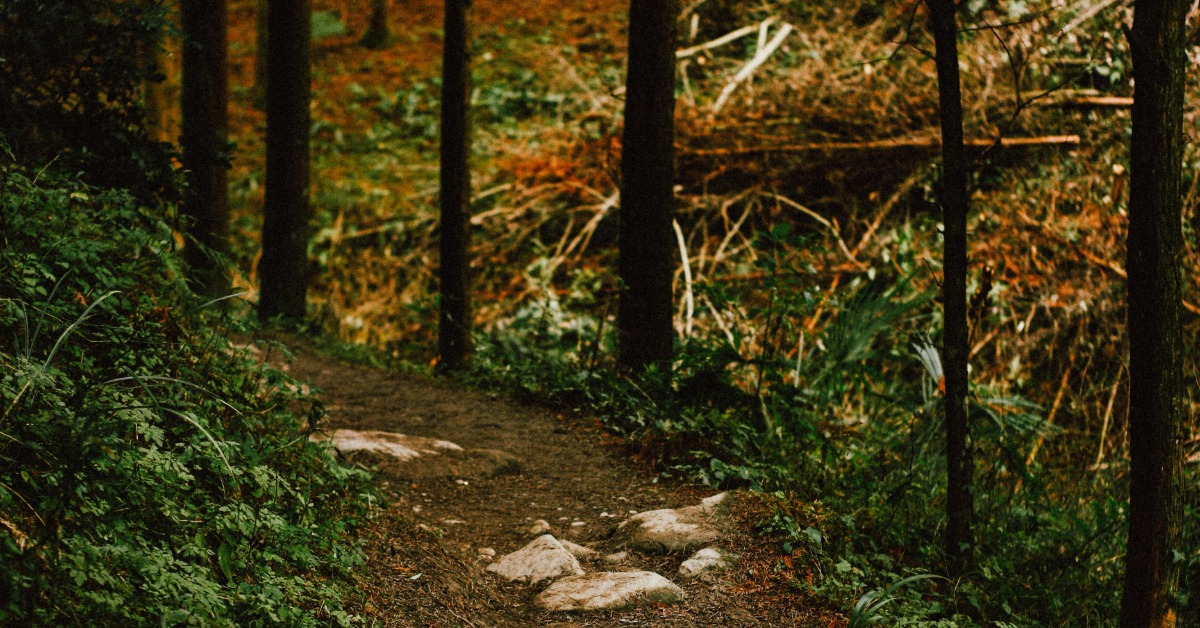 印度女和男性友人漫步森林 突遭2陌生男拖走性侵's story cover image