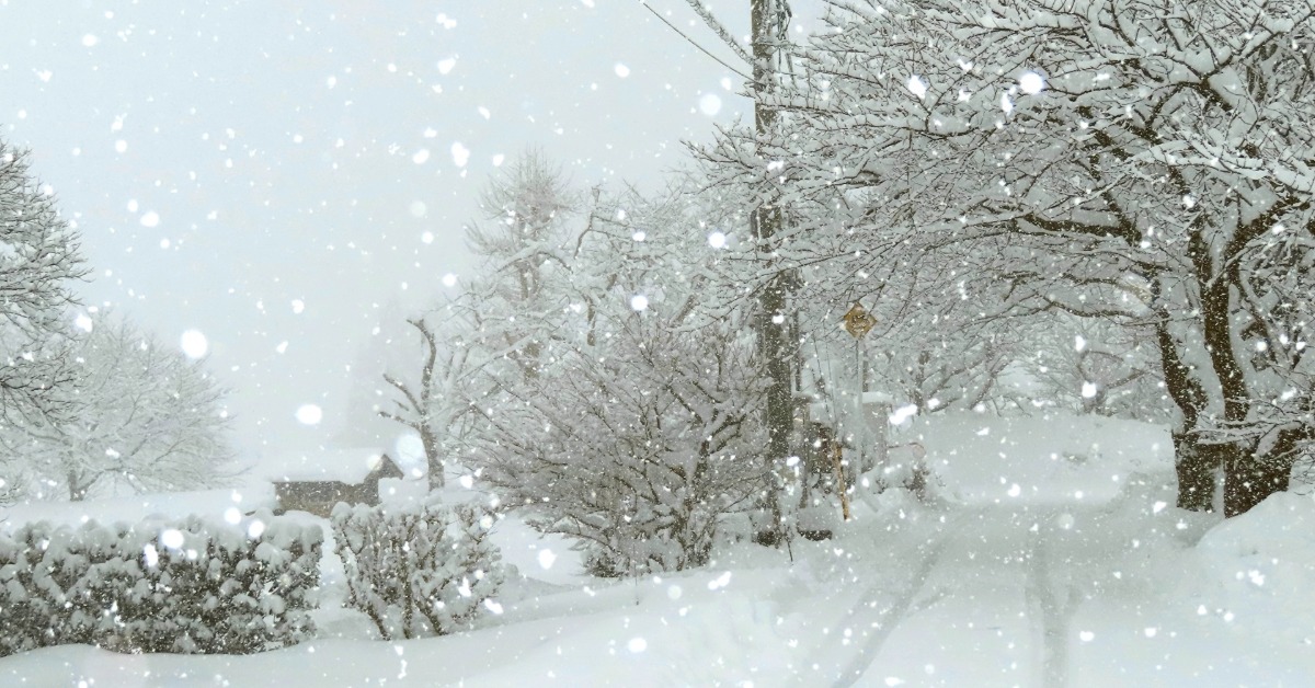 日最強寒流！ 札幌雪量創下1月紀錄