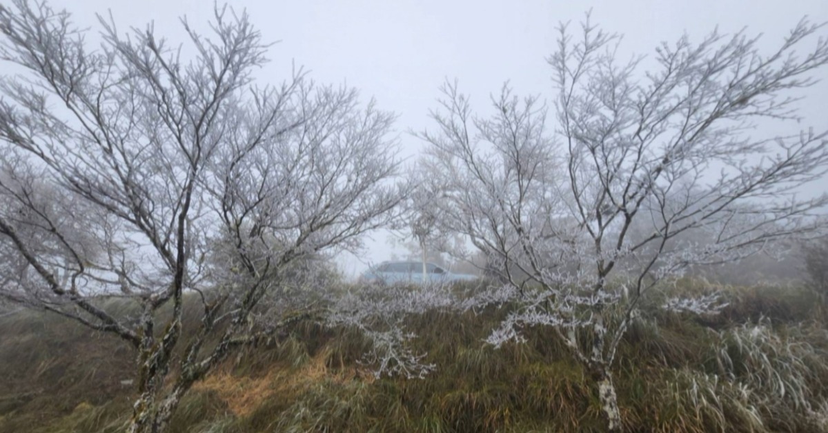 寒流發威！太平山下冰霰了 遊客興奮搶拍's OG Image