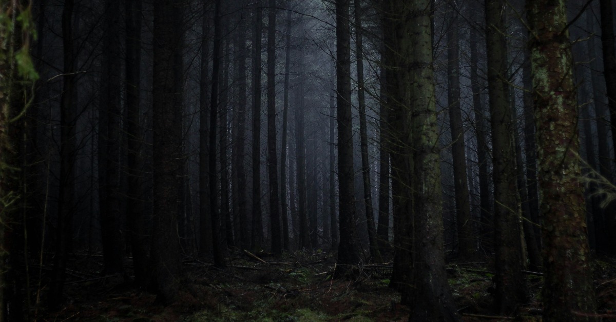 印度人妻被以346元賣掉！遭丈夫友人拖入樹林性侵