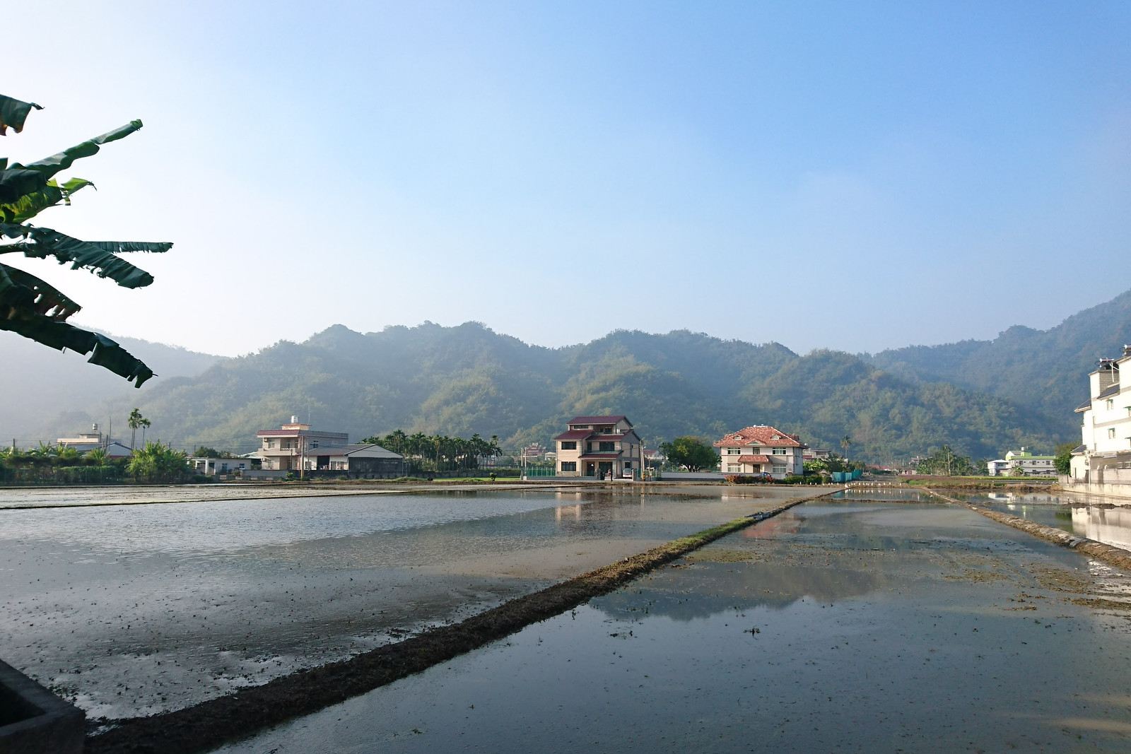 水患治理不再只靠政府 美濃農民自主防洪蓄水面積逾百公頃's story cover image