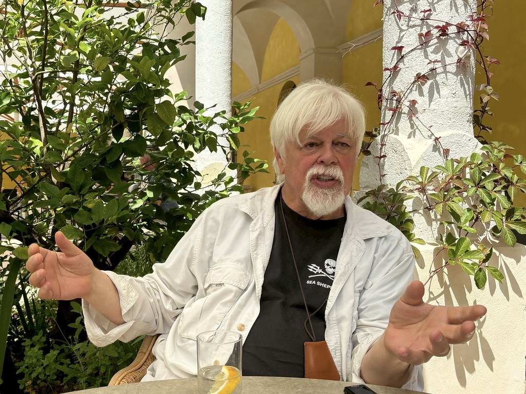 為了海洋遭關押近半年，值得嗎？ 專訪反捕鯨鬥士Paul Watson︰這是改變世界必經之路's story cover image