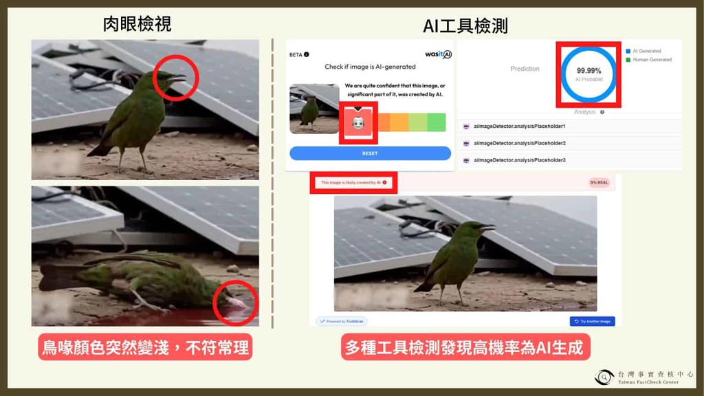 小鳥喝光電紅水暴斃為AI假影片 環境部：已報請檢察機關追查's story cover image