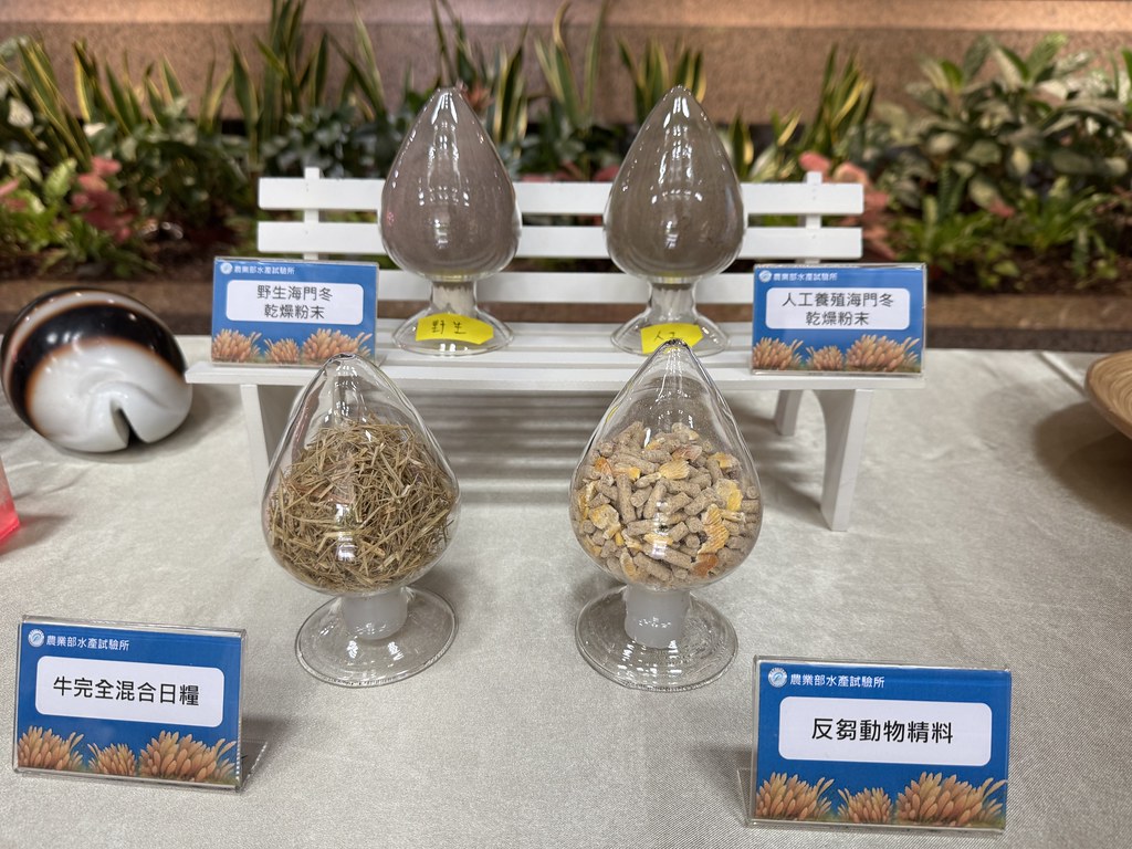 神奇海藻「海門冬」可減少牛羊99%甲烷排放 水試所首創人工量產技術's story cover image