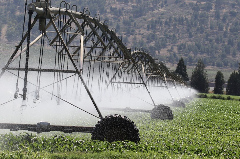 全球升溫3°C等同每天少一餐 氣候危機為何讓食物營養變低、糖分增加？'s story cover image