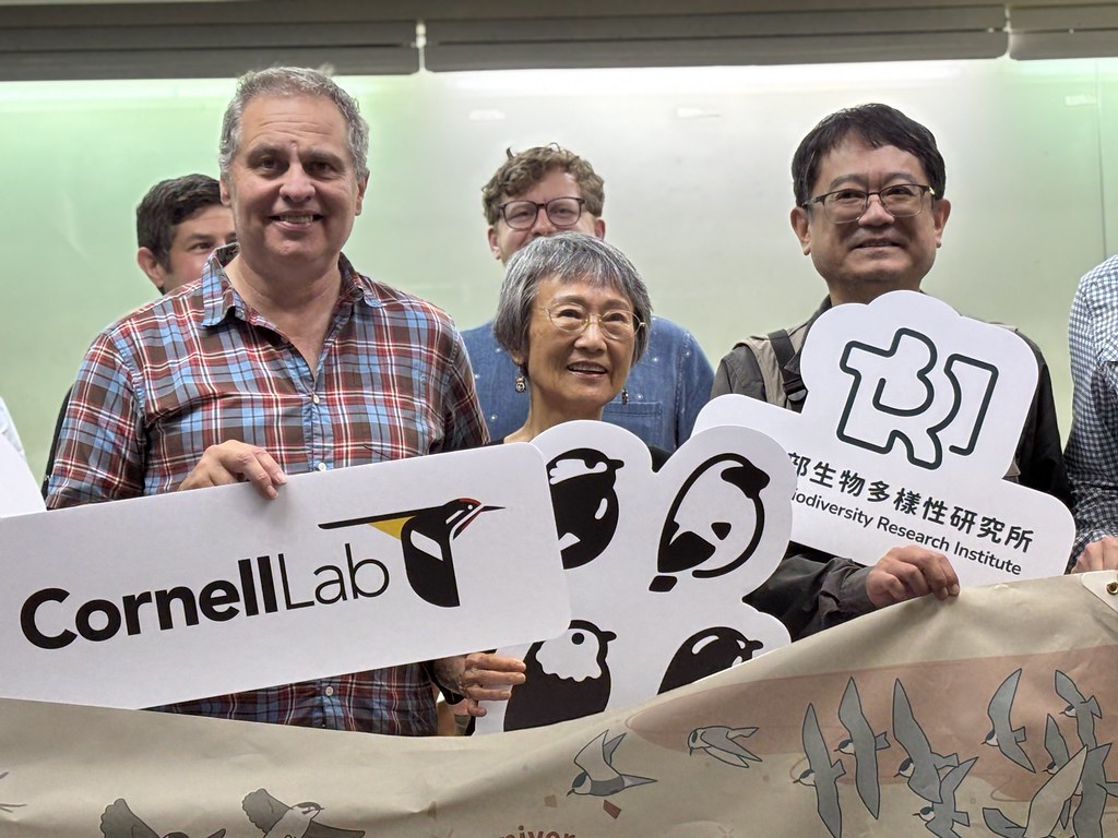 台灣鳥調世界第七 eBird Taiwan十年見證公民科學力量's OG Image