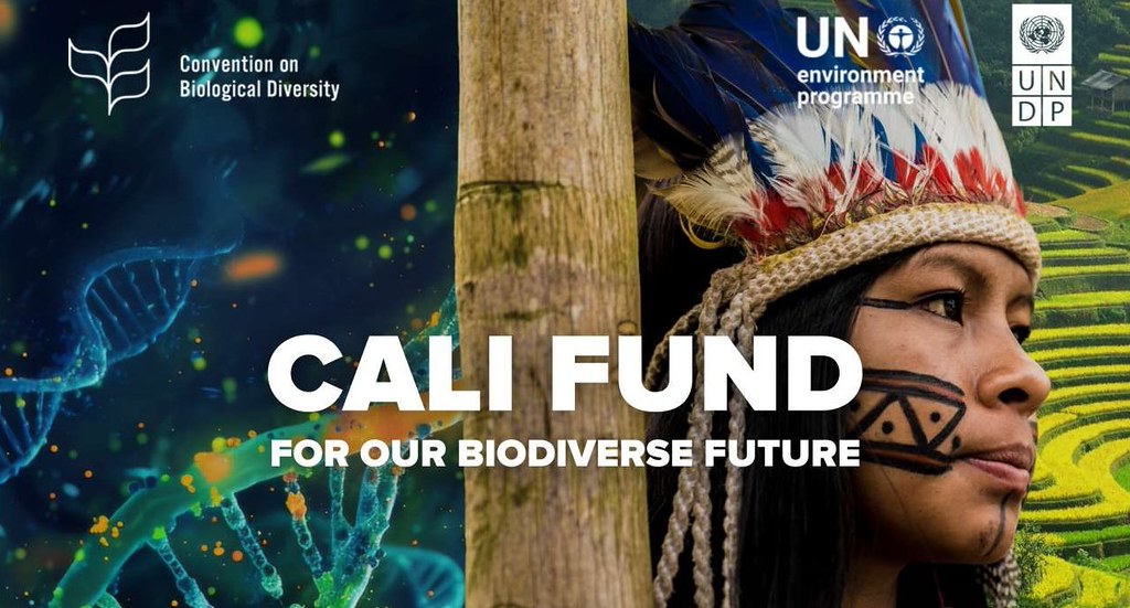 聯合國生物遺傳資源基金「卡利基金」苦等9個月獲首筆資金：僅1000美元's story cover image