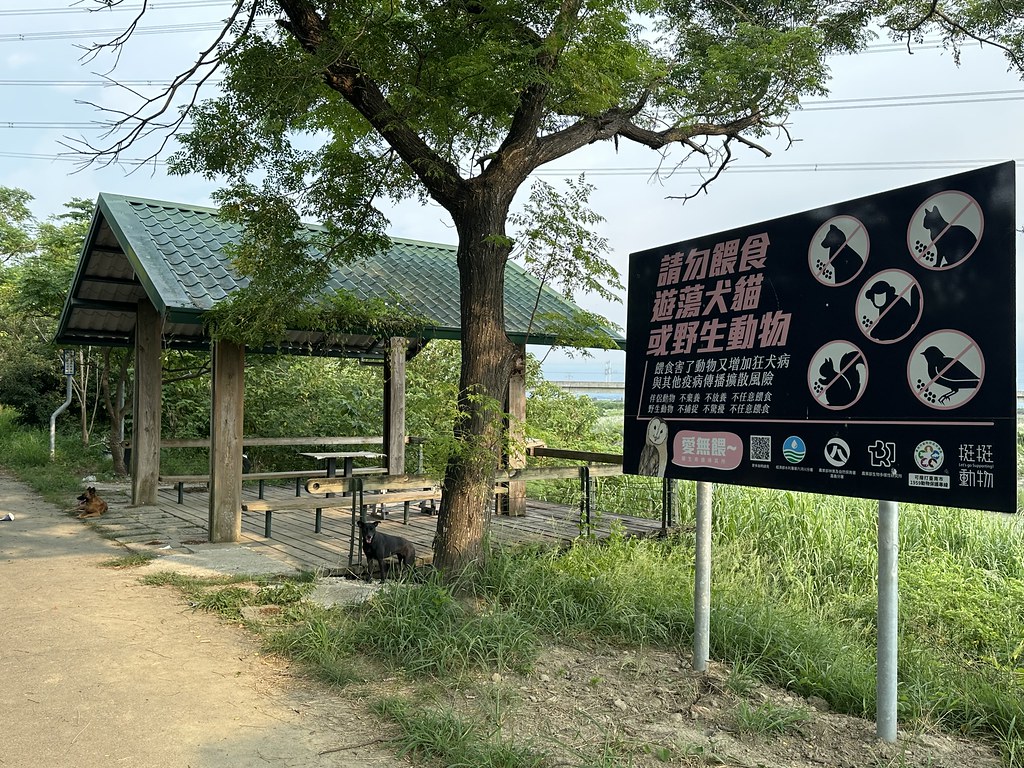 野保團體評《動保法》修法：38項提案僅一項納遊蕩動物衝突管理's story cover image