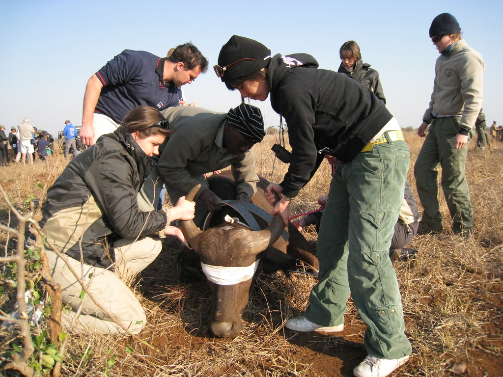 專訪野生動物獸醫師綦孟柔：把急診室留在野生動物身邊's OG Image
