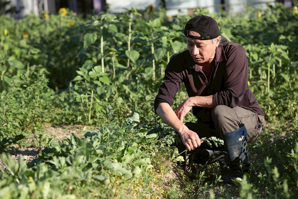 把搖滾種進田裡：黃盟生的友善耕作與社區共好's story cover image