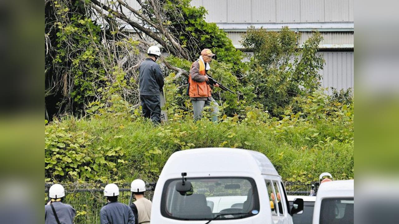 110公斤巨熊潛伏「1處」跳出攻擊遛狗女！牠下場曝光