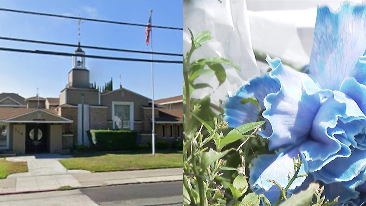 領兒遺物洗衣卻見「愛子大腦」？急舀起怒告殯儀館！'s story cover image