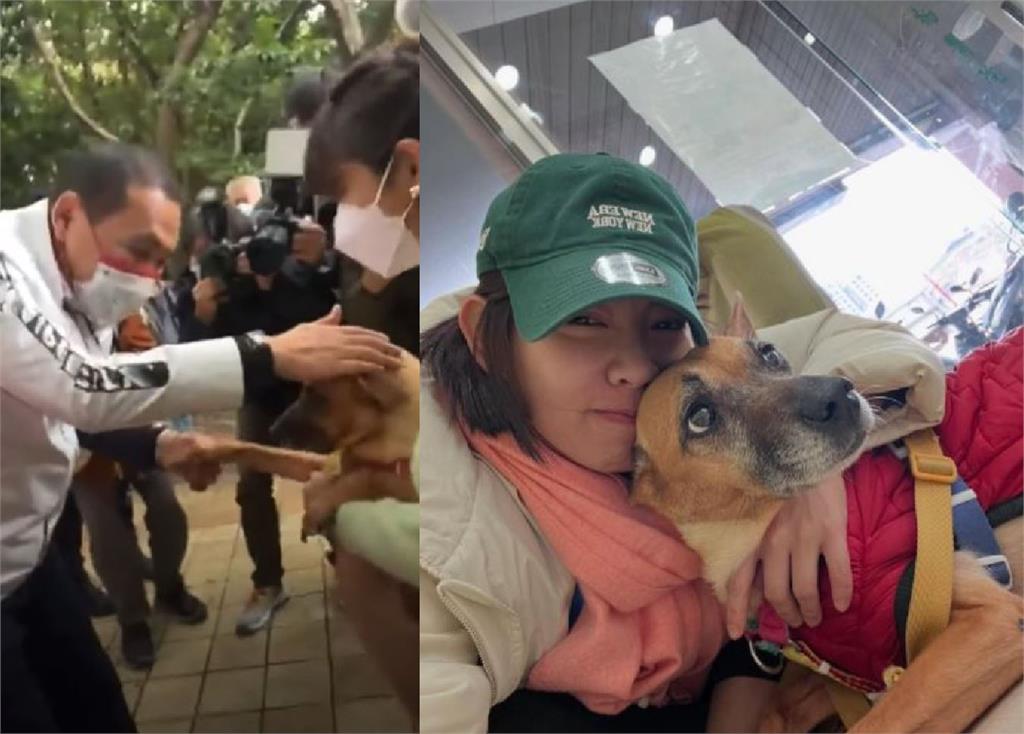 曾被侯友宜叫錯逗樂眾人！米可白愛犬「錢錢」罹癌　他也集氣禱告's story cover image