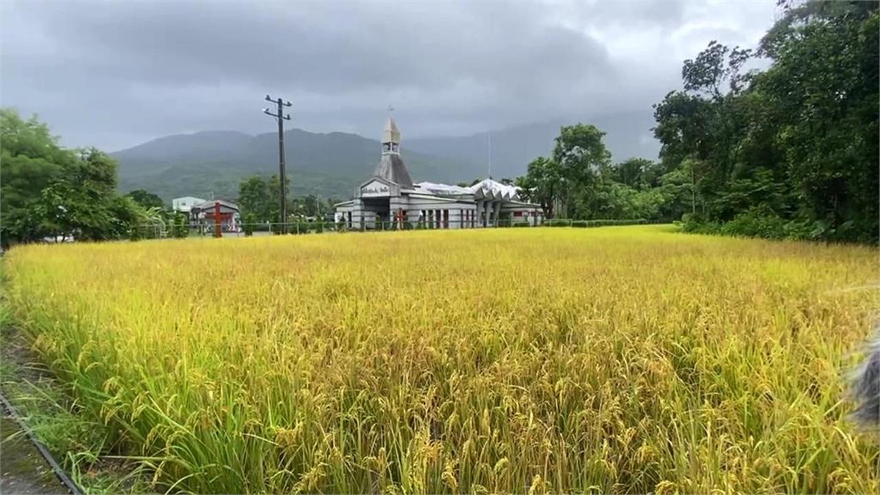 免關稅是「4年買千億美農產」換來的？農業部火速澄清：政府未出資's story cover image