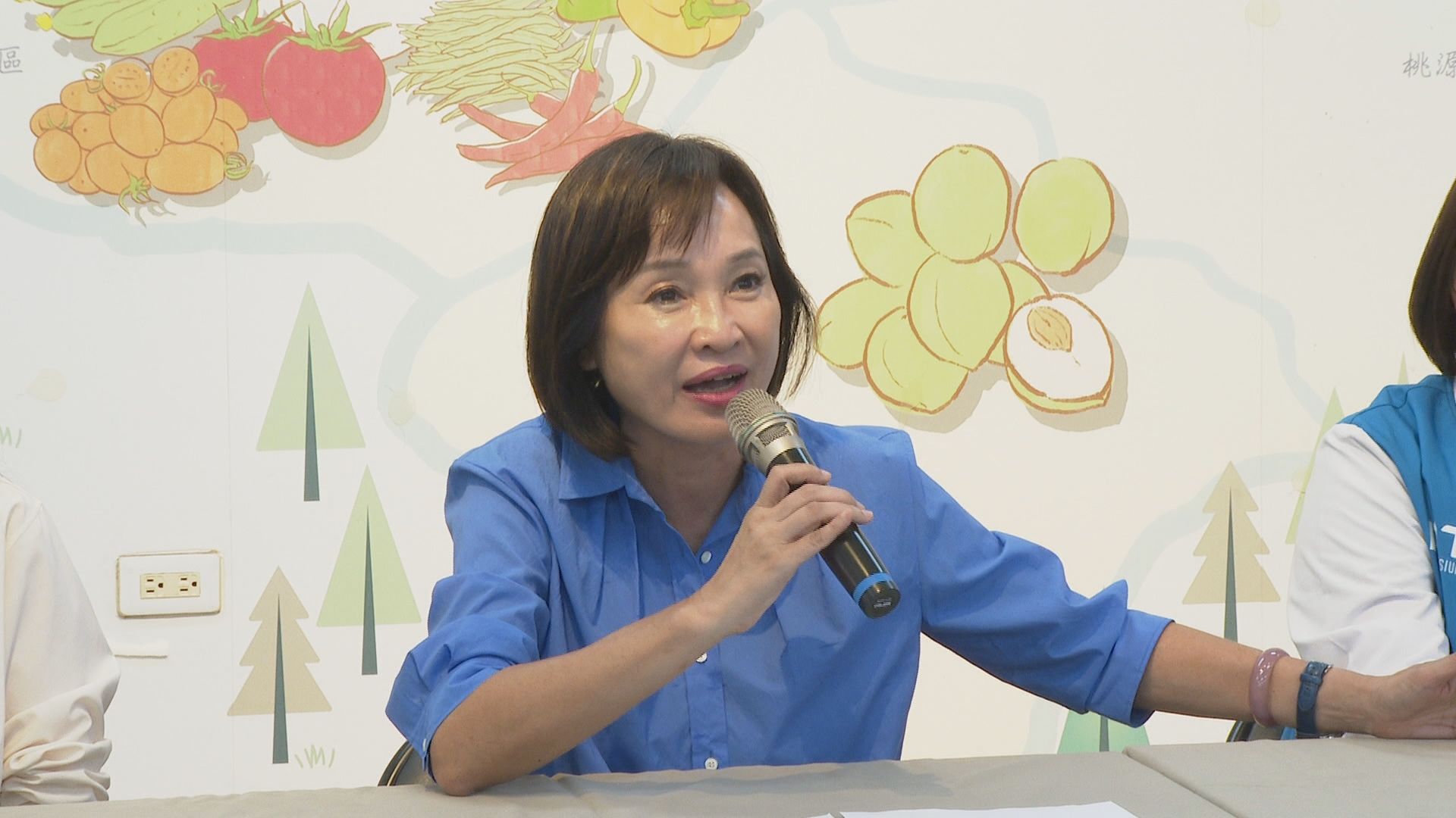 揭弊美濃大峽谷涉深藍利益？　柯志恩駁被當棋子：基於民意陳情's story cover image