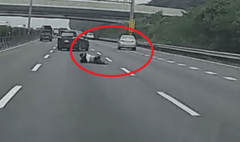 太驚悚！國道上演玩命關頭　男子突「從車摔落」原因曝光's story cover image