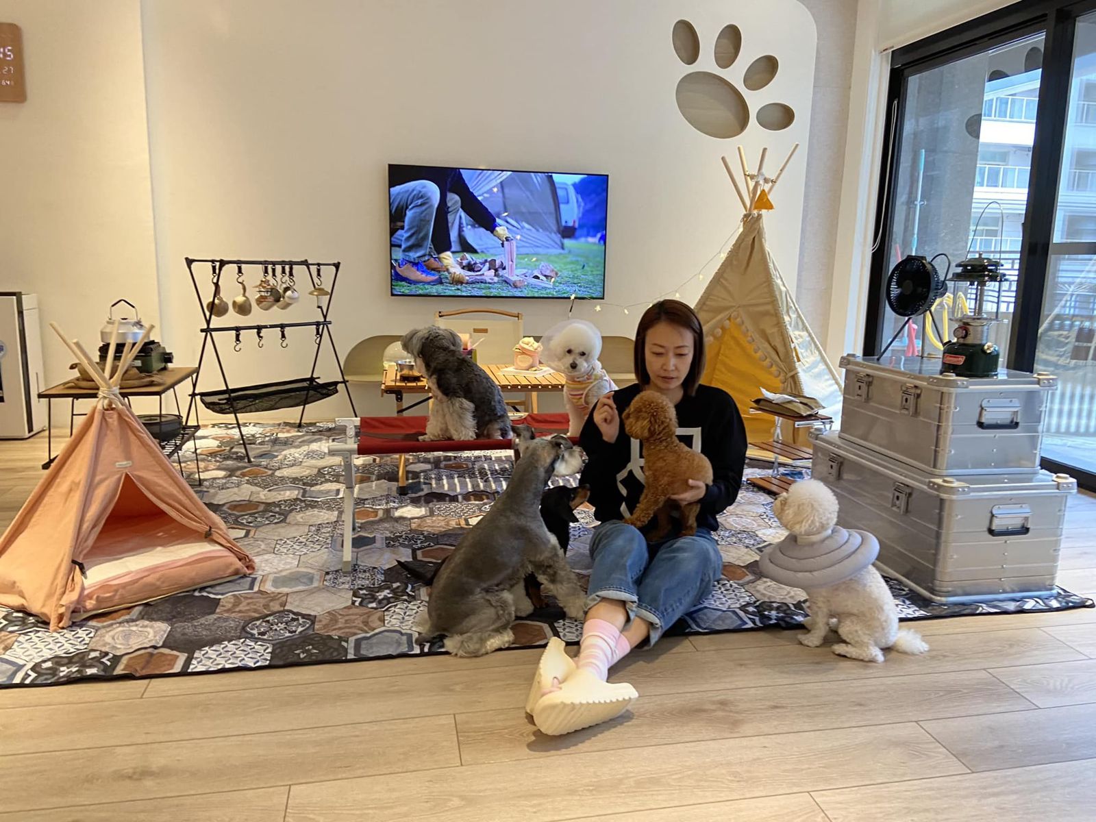 揭發虐狗反被誣指竊盜　潘慧如槓造謠網友：委請律師全面蒐證's story cover image