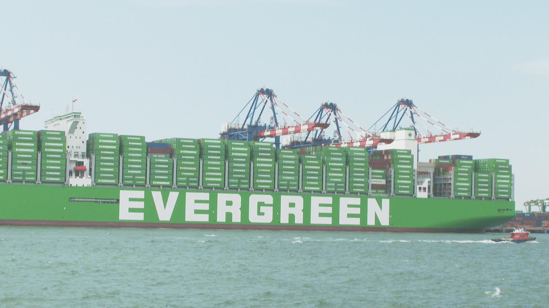 長榮海運股利扣繳出包重複寄送30萬筆　財政部：今晚完成更正's story cover image